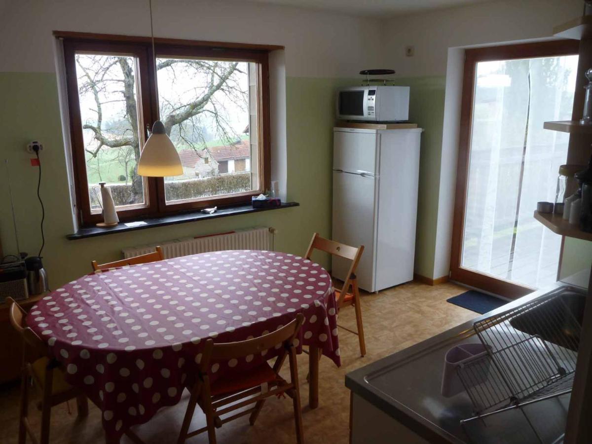 Haus Hollerbusch Apartment Neunburg vorm Wald Exterior photo